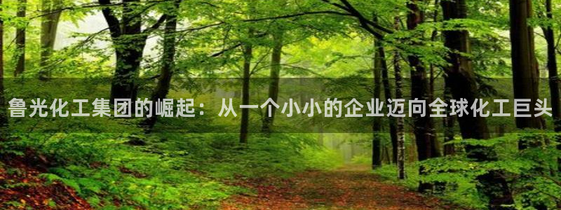 球盟会官方下载：鲁光化工集团的崛起：从一个小小的企业迈向全球