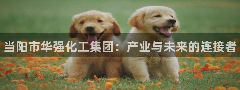 球盟会qmh官网