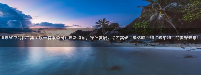 球盟会网页登录入口：山东省中海化工集团股份有限公司：创新引领