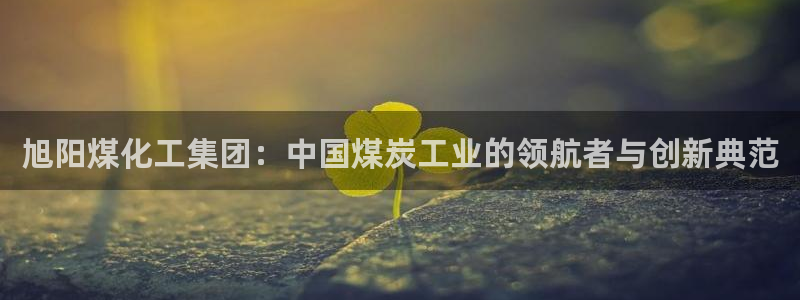 球盟会最新网