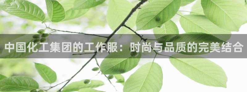 球盟会论坛：中国化工集团的工作服：时尚与品质的完美结合