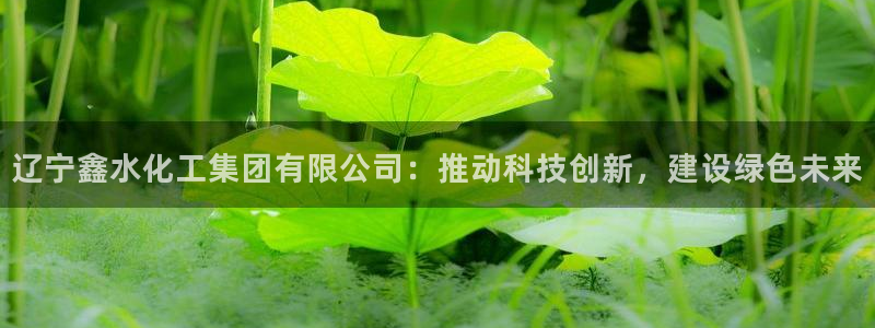 球盟会平台会黑单吗：辽宁鑫水化工集团有限