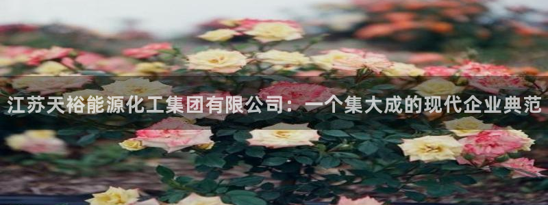 球盟会在线登入：江苏天裕能源化工集团有限