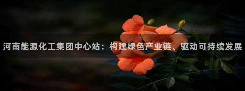 球盟会能提现吗安全吗：河南能源化工集团中