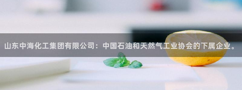 球盟会登陆入口：山东中海化工集团有限公司：中国石油和天然气工