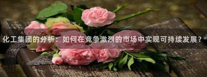 球盟会黑款吗知乎小说：化工集团的分析：如何在竞争激烈的市场中