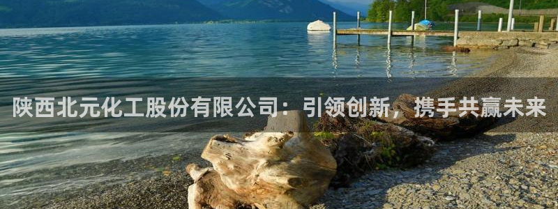 球盟会网页登录app下载地址：陕西北元化工股份有限公司：引领