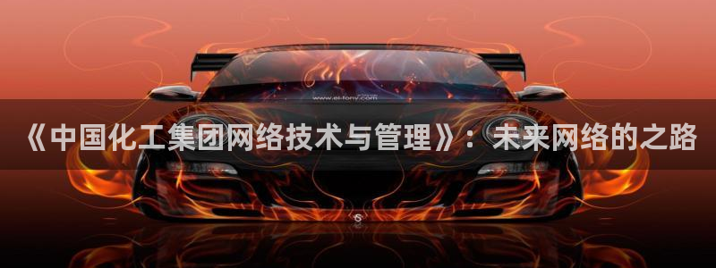 球盟会官方网站app：《中国化工集团网络技术与管理》：未来网