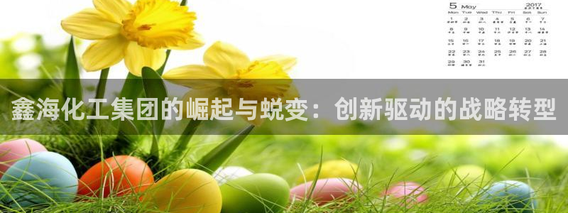 球盟会App：鑫海化工集团的崛起与蜕变：创新驱动的战略转型