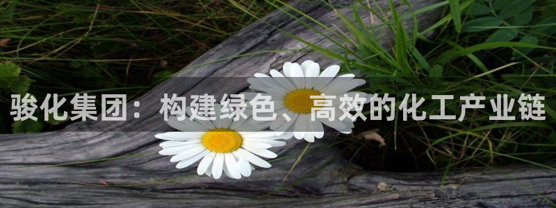 球盟会官方网址入口：骏化集团：构建绿色、高效的化工产业链