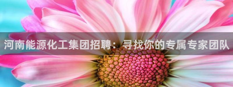 球盟会APP下载：河南能源化工集团招聘：寻找你的专属专家团队