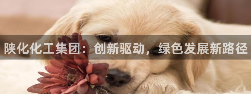 球盟会黑款吗知乎文章：陕化化工集团：创新驱动，绿色发展新路径