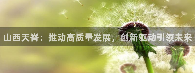 球盟会官方下载：山西天脊：推动高质量发展，创新驱动引领未来
