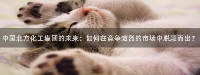 球盟会官方登录平台入口：中国北方化工集团的未来：如何在竞争激