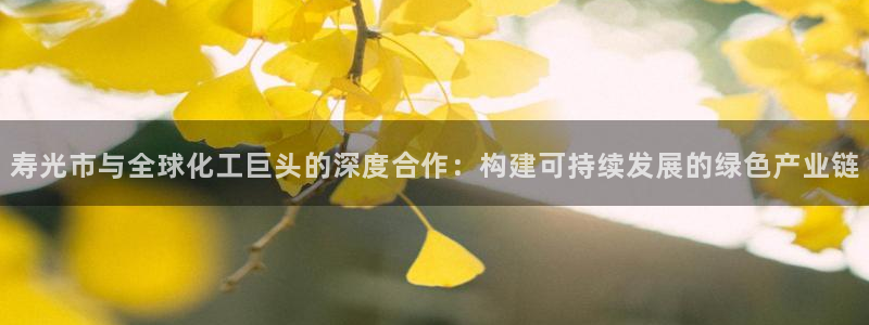 球盟会出款黑了：寿光市与全球化工巨头的深度合作：构建可持续发
