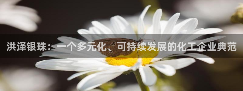 球盟会官网网页版：洪泽银珠：一个多元化、可持续发展的化工企业