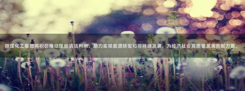 千亿球盟会乐玩：陕煤化工集团将积极推动煤炭清洁利用，助力实现