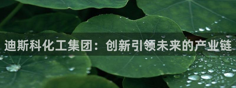 球盟会能退钱吗：迪斯科化工集团：创新引领未来的产业链