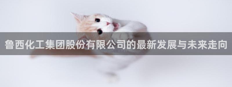 球盟会和中欧合作吗：鲁西化工集团股份有限公司的最新发展与未来