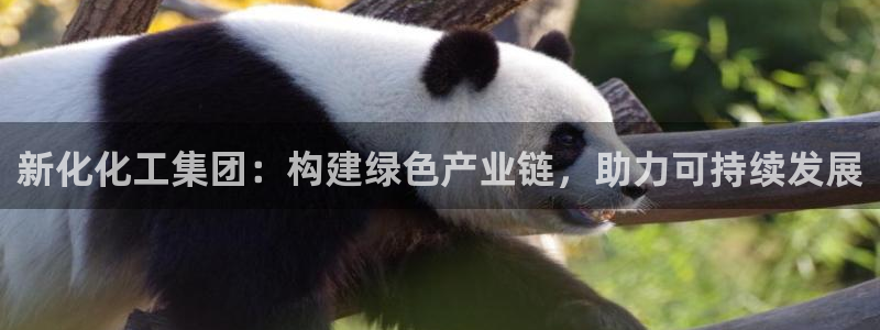 球盟会娱乐平台：新化化工集团：构建绿色产业链，助力可持续发展