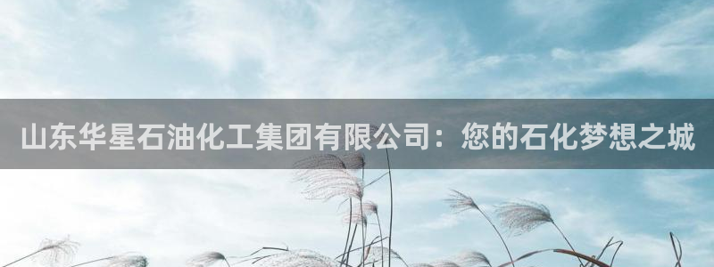 球盟会黑网：山东华星石油化工集团有限公司：您的石化梦想之城