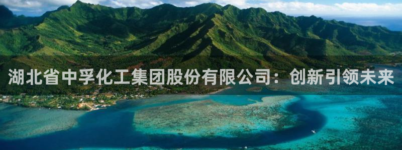 球盟会优惠券：湖北省中孚化工集团股份有限