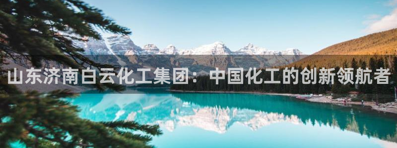 球盟会体育平台：山东济南白云化工集团：中