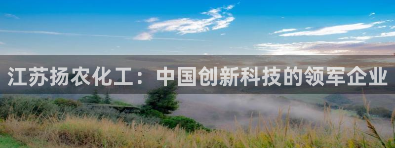 千亿球盟会：江苏扬农化工：中国创新科技的