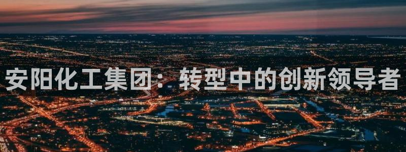 球盟会网页登录：安阳化工集团：转型中的创新领导者
