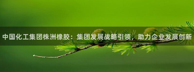 球盟会最新地址备用：中国化工集团株洲橡胶