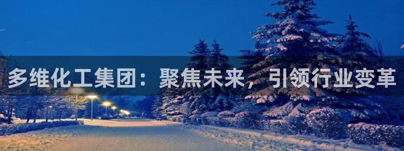 球盟会手机网页版：多维化工集团：聚焦未来