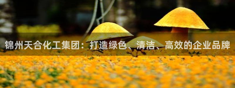 球盟会优惠领取网站是真的吗：锦州天合化工