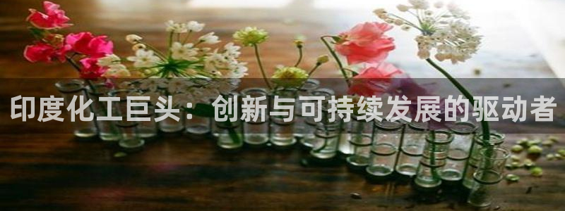 球盟会app最新地址下载安装：印度化工巨