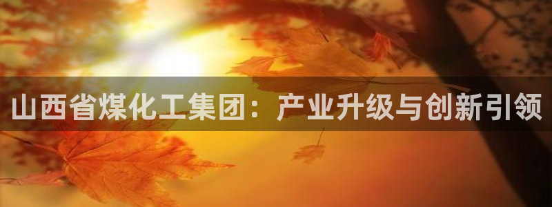球盟会可以提现么是真的吗：山西省煤化工集
