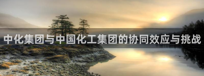 球盟会APP下载：中化集团与中国化工集团的协同效应与挑战