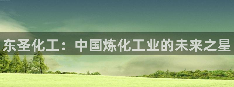 球盟会游戏：东圣化工：中国炼化工业的未来之星