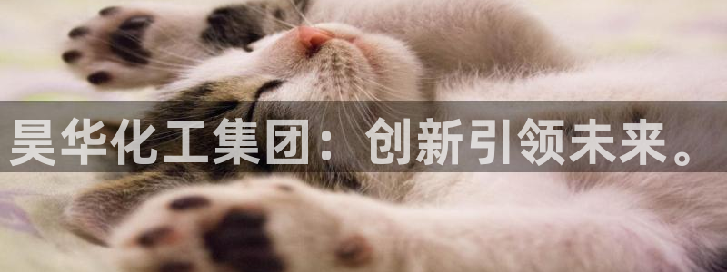 球盟会体验金：昊华化工集团：创新引领未来。