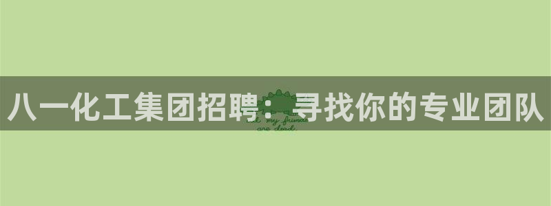 球盟会官方平台入口：八一化工集团招聘：寻找你的专业团队