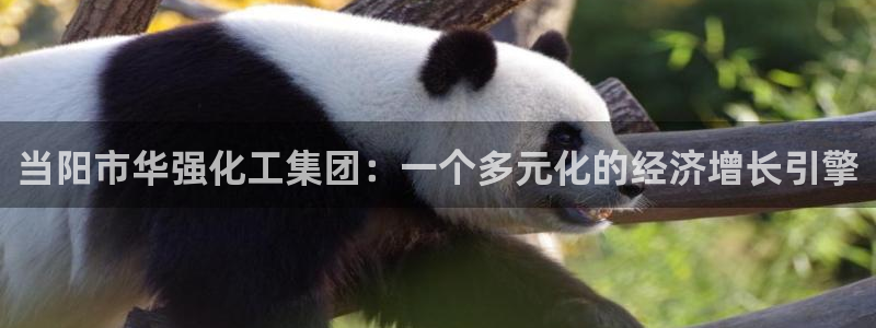 球盟会游戏几点玩合适：当阳市华强化工集团：一个多元化的经济增