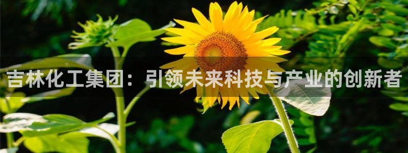 球盟会优惠码：吉林化工集团：引领未来科技与产业的创新者