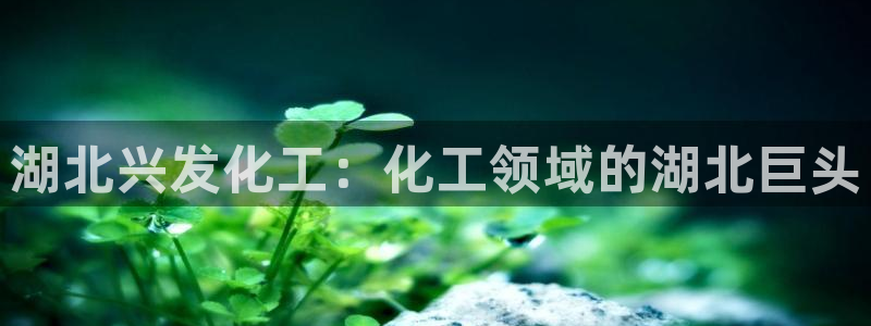 球盟会可以提现么是真的吗