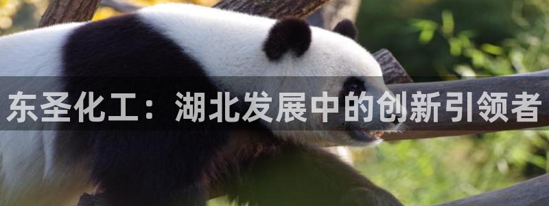 球盟会黑款吗是真的吗