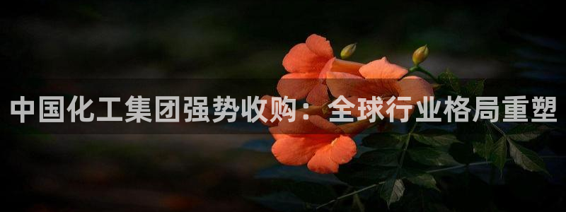 球盟会能提现吗是真的吗