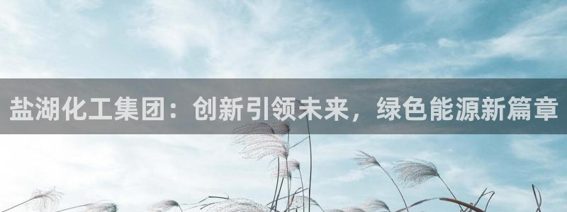 球盟会官方：盐湖化工集团：创新引领未来，绿色能源新篇章