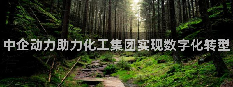 球盟会在线登录