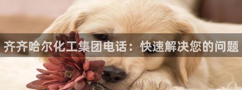 球盟会福利码2023最简单三个步骤