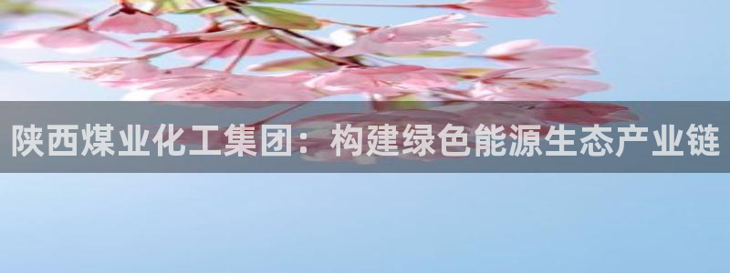球盟会头号玩家
