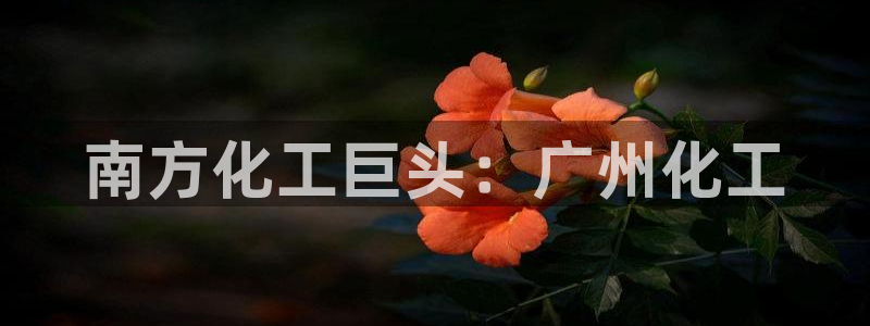 球盟会能退钱吗是真的吗