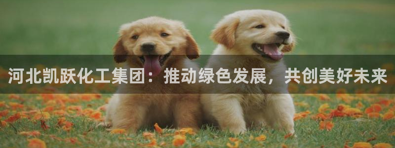 球盟会进不去球员吗