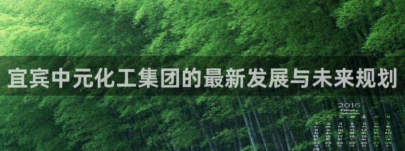 球盟会网址qm9 - 球盟会qmh网页版登录：宜宾中元化工集
